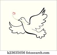 Dove Dove