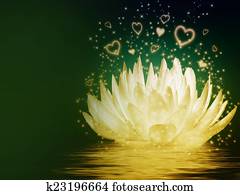 Magical lotus flower Magical lotus flower