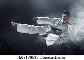 Martial arts karate kick Martial arts karate kick