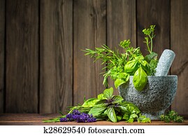 Mortar with herbs Mortar with herbs