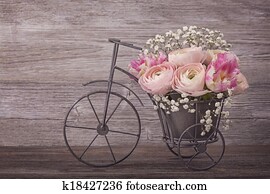 Ranunculus flowers Ranunculus flowers