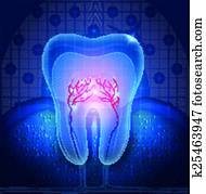 schön, durchsichtig, zahn, abbildung