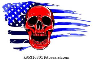 Skull and flag usa. Vector illustration graphics