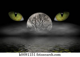 The Watcher The Watcher