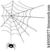 עכביש, ו, רשת
