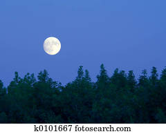 Bright full moon over trees at dusk