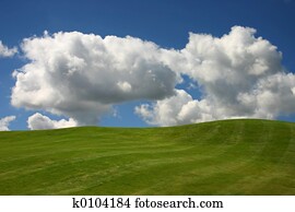 Golf Course Golf Course