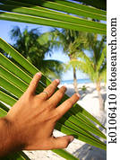 paraisos, descoberto