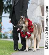 The Best Man The Best Man