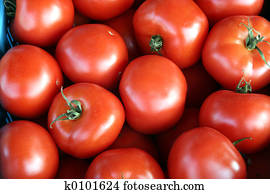 tomato background tomato background