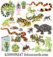 טרריון, בעלי חיים, קבע