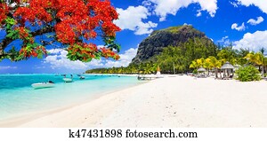 bonito, praias, de, ensolarado, mauritius, island., tropicais, férias