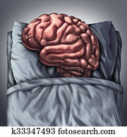 Brain Sleep Brain Sleep