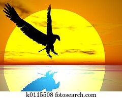 Eagle of The Sun Eagle of The Sun