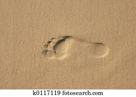 Footprint