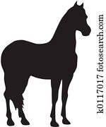 horse horse