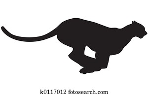leopard leopard