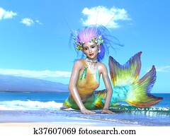 Mermaid Mermaid