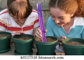 Planting Together