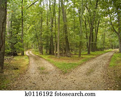 Two Paths Two Paths