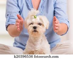 Woman practicing reiki therapy Woman practicing reiki therapy