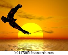 פטר, נשר, עלית שמש