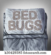 cama, bugs, ligado, travesseiro