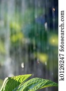 rain1 rain1