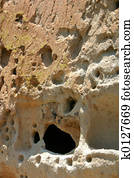 Swiss Cheese Rock Detail