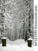 Winter Winter