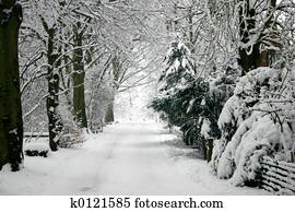 Winter Winter