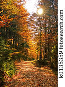 Autumns Autumns