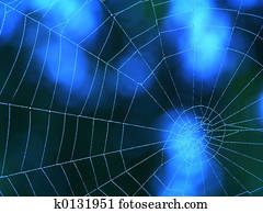 Blue spider web Blue spider web