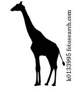 Giraffe silhouette Giraffe silhouette