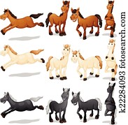 Horse set Horse set