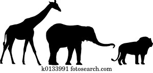 Jungle animals Jungle animals