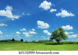 Summer Landscape Summer Landscape