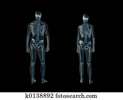 xray,, רנטגן, של, ה, בן אנוש, body,, איש, ו, woman.