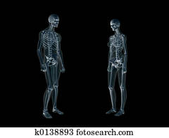 xray,, רנטגן, של, ה, בן אנוש, body,, איש, ו, woman.
