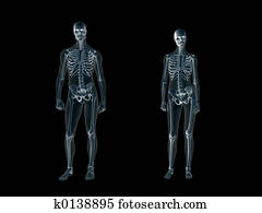 xray,, רנטגן, של, ה, גוף אנושי, איש, ו, woman.