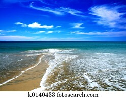 beach in the summer beach in the summer