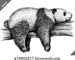 black and white engrave isolated panda vector illustration black and white engrave isolated panda vector illustration