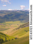 Buffalo, National Bison Range
