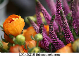 flowers flowers