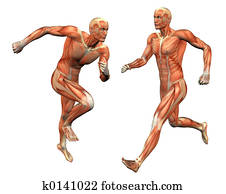 homem músculo, w/, cortando, máscara