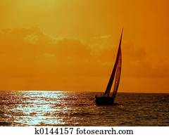 sailing at sunset