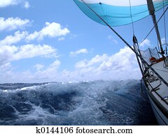 spinnaker spinnaker