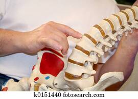 Chiropractic Chiropractic
