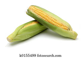 Corn in Cob 2 Corn in Cob 2