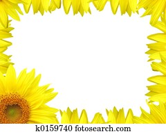 Flower border Flower border